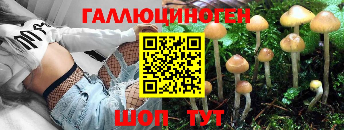 Псилоцибиновые грибы мицелий Верхняя Пышма